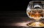 Remy Martin przegrał spór o domenę z… Remy Martin