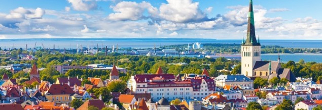 Estonia umożliwi rejestrację domen na… trzy miesiące. I obniży stawki abonamentu
