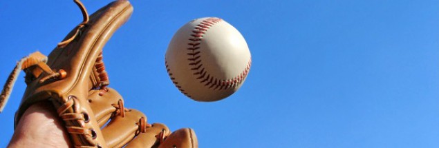 Ten rejestrator nie pobiera opłat za przechwytywanie domen