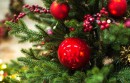 Merry .christmas! W świątecznej TLD zarejestrowanych jest ponad 1,6 tys. adresów