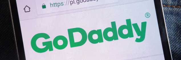 Robert Davis: „Dążenie GoDaddy do monopolu może być największym zagrożeniem dla branży domen”